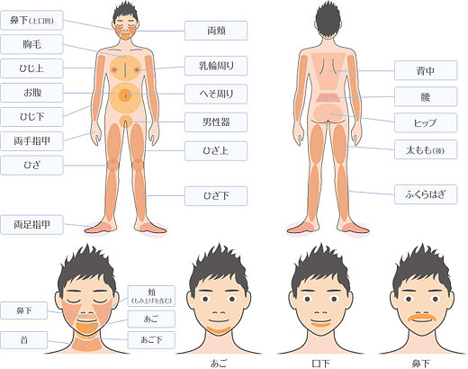 エロMUCHI☆ナースが早漏草食男子を子作り指導！？～少子化対策で強制的に種付け孕ませ教育～ (大人のSEXY絵本) | 大人のSEXY絵本 |