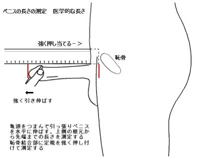 名古屋の風俗体験談。風俗・出会い系ブログ【ひろしのガチエロ体験談】