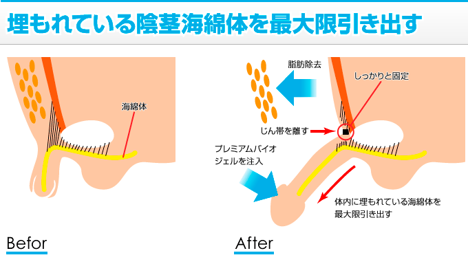 アットホーム】パークステージＫ 5階 １Ｋ（提供元：スタートライン