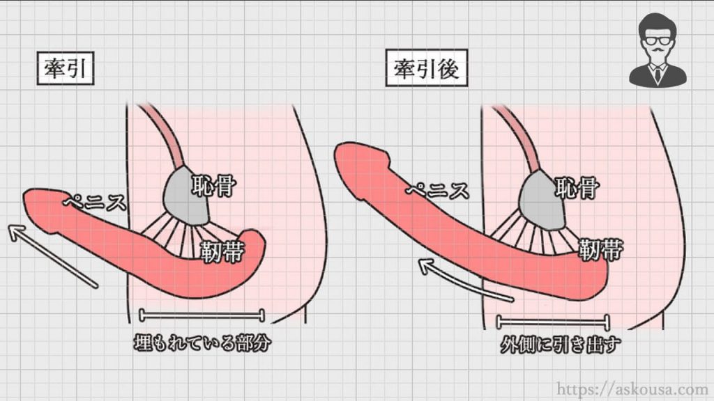 12cmが日本人男性の平均だと思っていた22歳の女子大生、半年ぶりのチンチンがデカくて興味津々 | テングノハナオレ