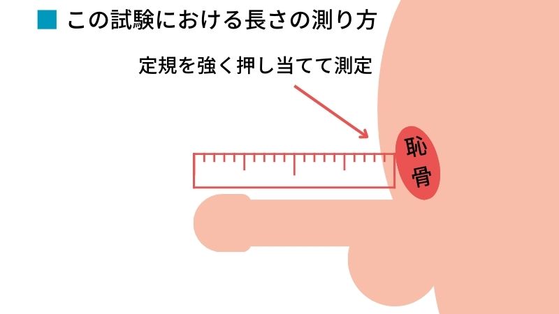 日本人の勃起時チン長は12cm弱！研究基づいたペニスの正確な長さ – メンズ形成外科 |