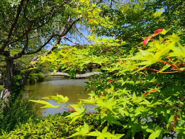 引退相撲パンフ】土佐ノ海引退立川襲名披露大相撲 / 扶桑文庫 /