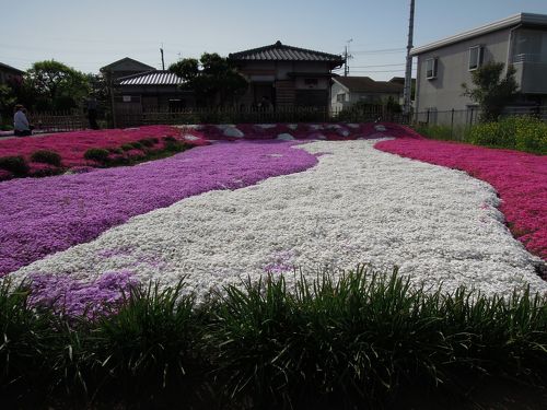 かつての松戸宿(図中桃色)はＪＲ常磐線松戸駅西側の旧街道(図中茶色)沿いから江戸川に至る地域にあたり、現在の地名では松戸市本町と松戸市松戸の西側に該当します。（図中青字は旧町名）  ｜ MAD City：松戸よりDIYと暮らし、物件情報を発信