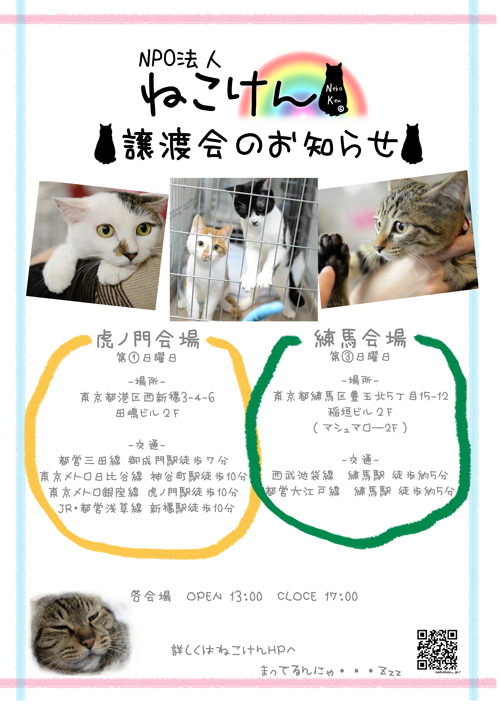 みなとねこ(東京都港区周辺で活動する非営利の保護猫ボランティア団体) :: ペットのおうち【里親決定28万頭！】