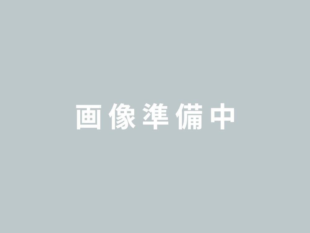 神立の風俗嬢ランキング｜駅ちか！