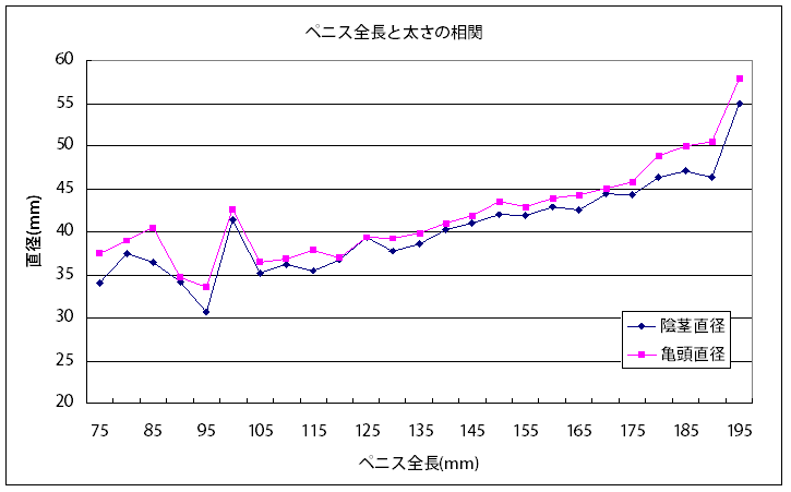 世界の平均ペニスサイズは何cm~？【韓国・米国・日本】