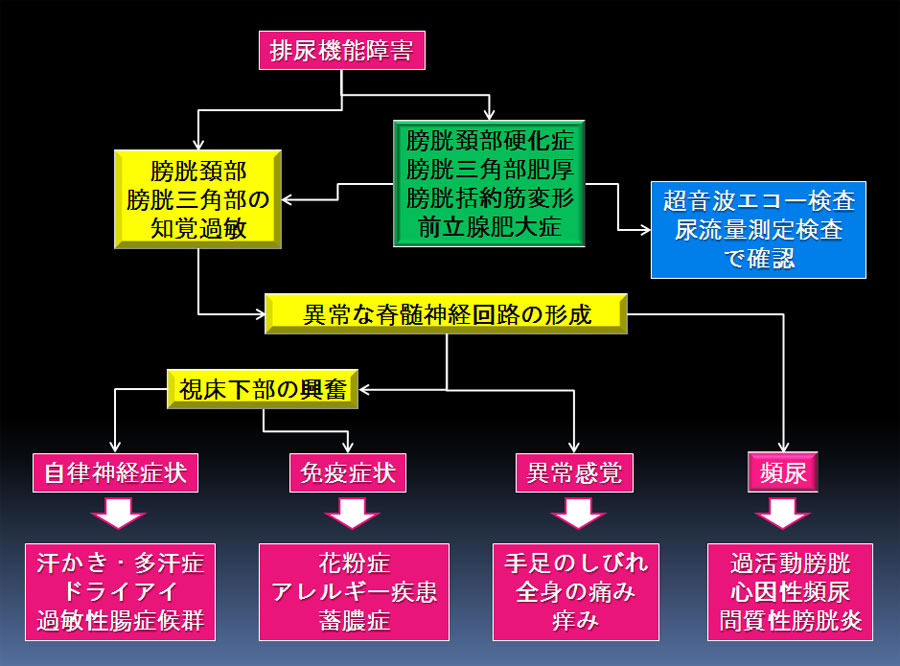 慢性前立腺炎でお悩みの患者さんへ | みうら泌尿器科クリニック