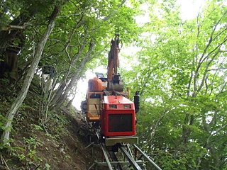 ハトムギって見たことありますか?これ、北海道産の貴重なハトムギなんです。｜コスメティックハウスミズノ