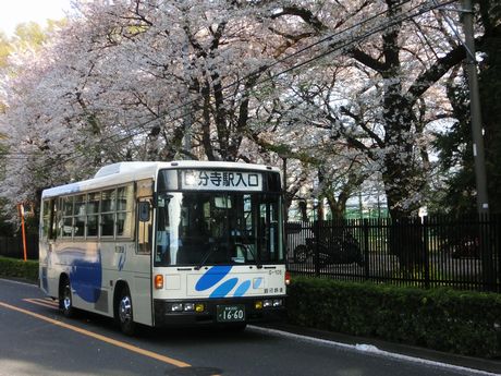 レクシオ東村山ティアーズガーデン [中古投資用区分マンション 久米川駅 徒歩11分 ]