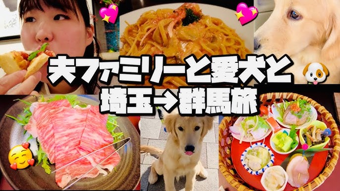 ぽっちゃり夫婦のいい夫婦の日の思い出 | TikTok