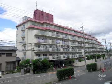 飛田新地の元遊郭「鯛よし百番」で親子見学会 きらびやかな内装楽しむ - あべの経済新聞