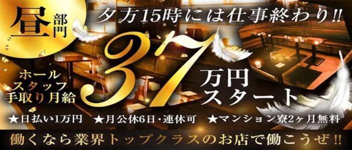 新宿歌舞伎町のセクキャバ・おっパブおすすめランキング【2024年最新】 | 風俗ナイト