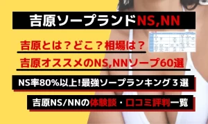 2024年本番情報】吉原で実際に遊んだソープ12選！本当にNS・NNが出来るのか体当たり調査！ | otona-asobiba[オトナのアソビ場]