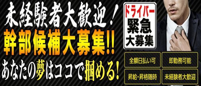 新宿・歌舞伎町の送迎ドライバー風俗の内勤求人一覧（男性向け）｜口コミ風俗情報局