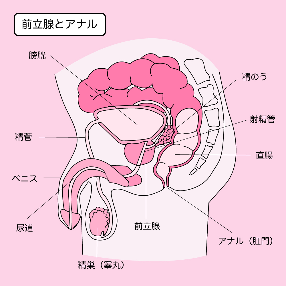 男同士はSexしないと思っていた土方くん(奇跡の27歳)のお話。（君は無敵！）の通販・購入はメロンブックス | メロンブックス