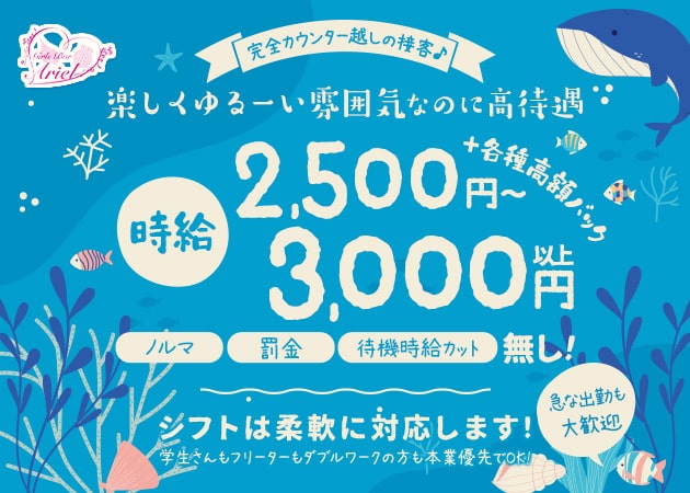 Amazon.co.jp: ビキニの似合う熟女 藤沢芳恵50歳