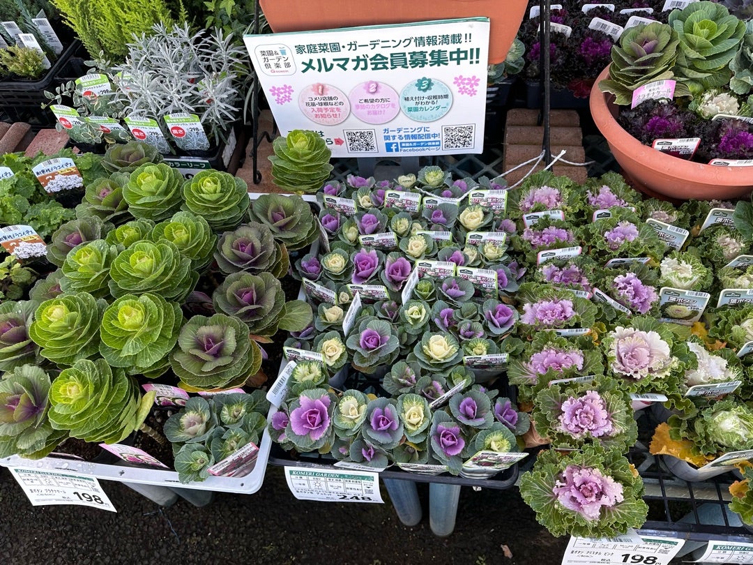 コメリ ハード＆グリーン吉岡店 の近くのお店 | トクバイ