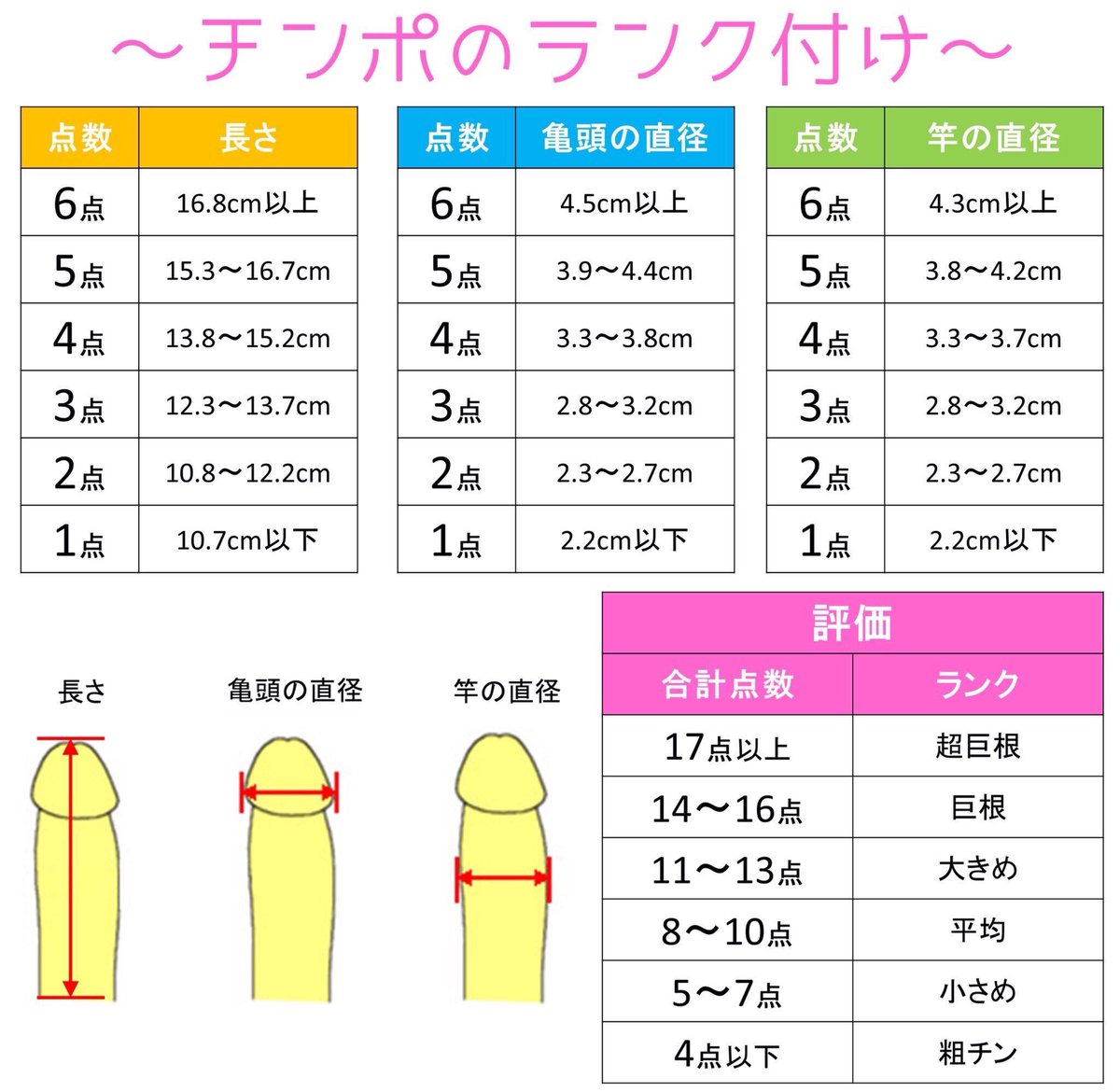 男性器の大きさについて｜大東製薬工業株式会社