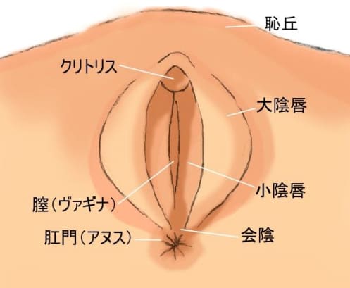 竜宮城 戸村ほなみ の口コミ・評価｜メンズエステの評判【チョイエス】