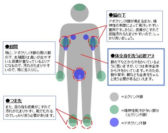 ソープ nn :