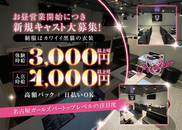 豊田・岡崎・西尾周辺のガールズバー情報｜ランキングやオススメで人気のガールズバーをご紹介 - ナイツネット