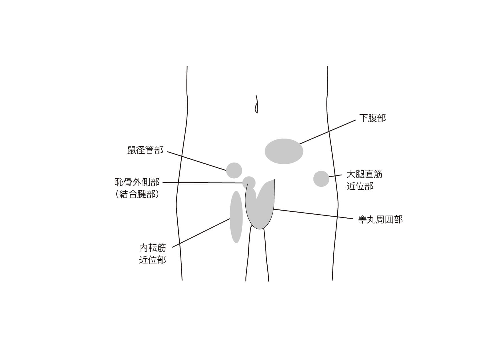 こしのクリニック公式サイト 医療法人 泰保会