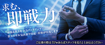 関東の土・日のみ勤務可能の風俗男性求人（50ページ）【俺の風】