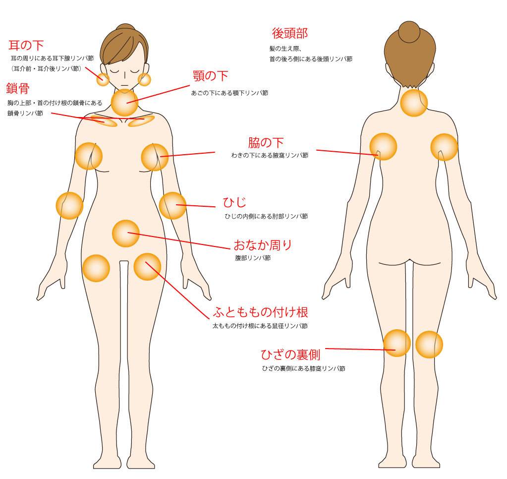 鼠径部 オイル マッサージ 広島に関するサロン