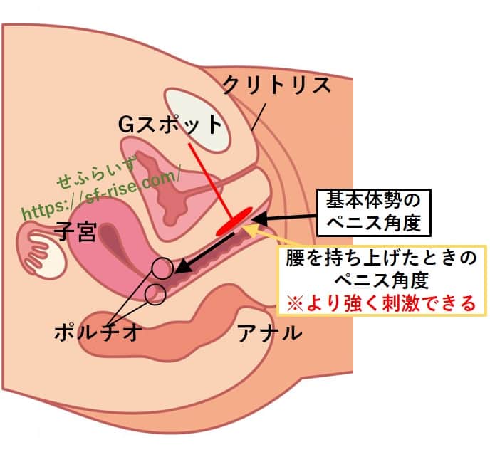 体位別】正しいセックスピストンのコツ！腰の振り方を大公開