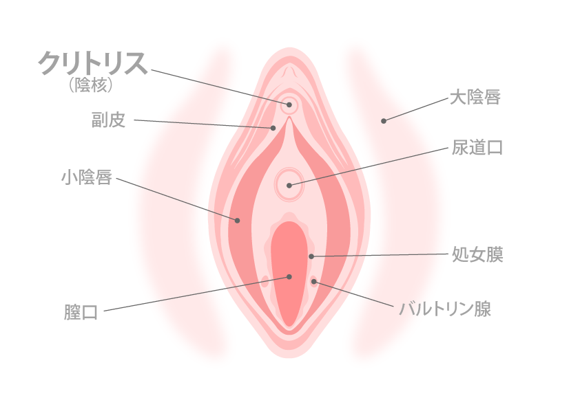 駿河屋 -【アダルト】<中古>クリトリスの皮を剥いて豆いぢり（ＡＶ）