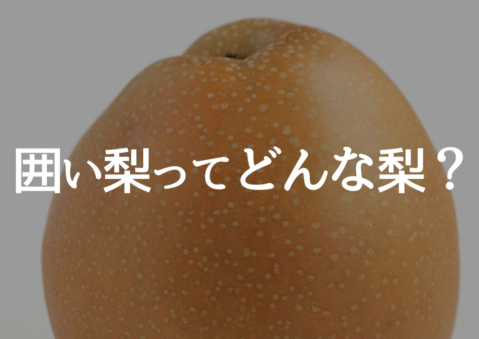 満中陰志とは？お返しの時期と金額、のし・挨拶状の書き方 | はじめてのお葬式ガイド