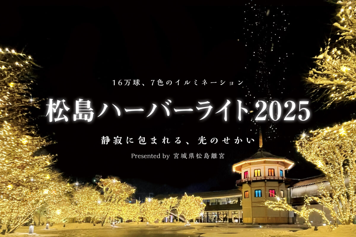 お得な特典あるよ✨, 11月30日から始まった、, 【松島ハーバーライト2025 in宮城県松島離宮】を紹介！, 