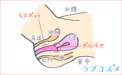 背面騎乗位とは？中イキしやすいやり方とポイント・注意点を解説！│熟女動画を見るならソクヨム