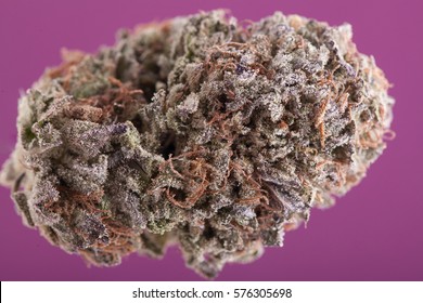 Where's Best to Buy Purple