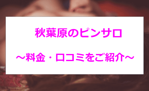 体験談】秋葉原にはピンサロが1店舗のみ！おすすめのメンズエステ5選！抜きや本番情報も！ | happy-travel[ハッピートラベル]