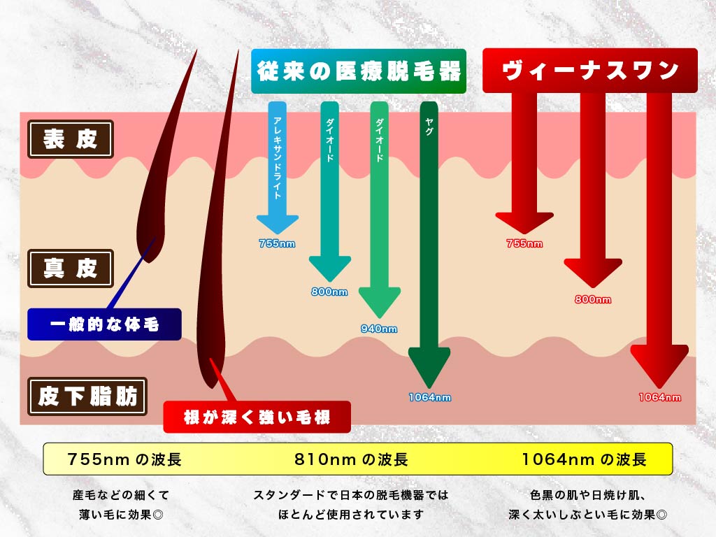 前立腺責めのやり方とコツ！気持ちいい前立腺マッサージの方法をイラストで解説