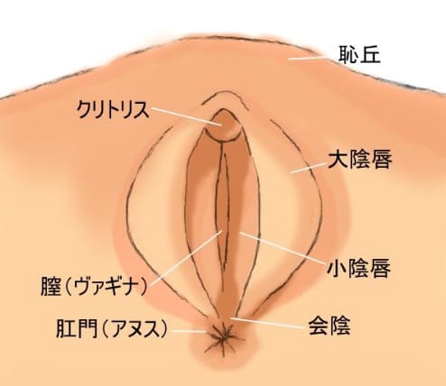 後背位（バック）のやり方を画像で解説 | 寝バック・立ちバックなども紹介 ｜