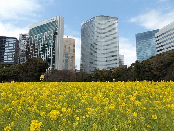 竹中直己(タケナカリー) | ネオな海鮮居酒屋にスリランカ間借りカレー。新橋「ティンティンスリランカカレー(TinTin