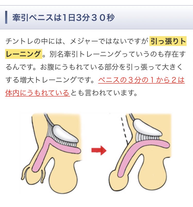 チントレの効果と方法は？ペニスを大きくするトレーニングで男を高めよう。 | VOLSTANISH