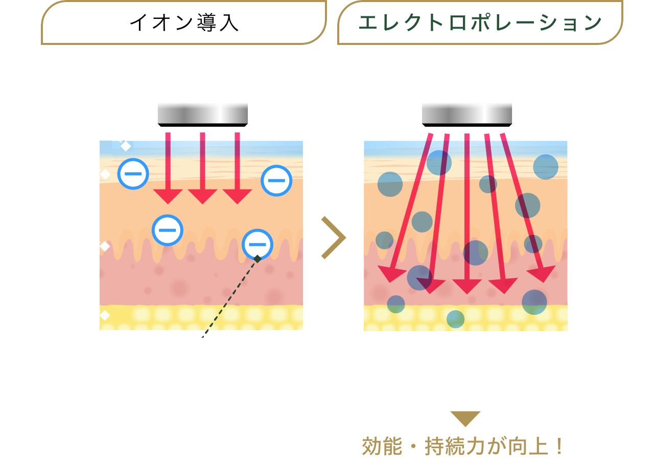 世界36ヵ国で話題沸騰のフェイシャル!! 明石・加古川・神戸西のモニター様、5Eleganteエステサロンに集まれ