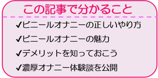 駿河屋 - 【買取】少女最新オナニー 自慰行為 淫夢号（ビニ本）