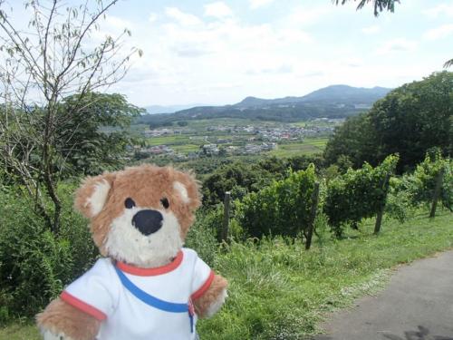 館内施設 – 長野県小諸市 グレイスランドホテル