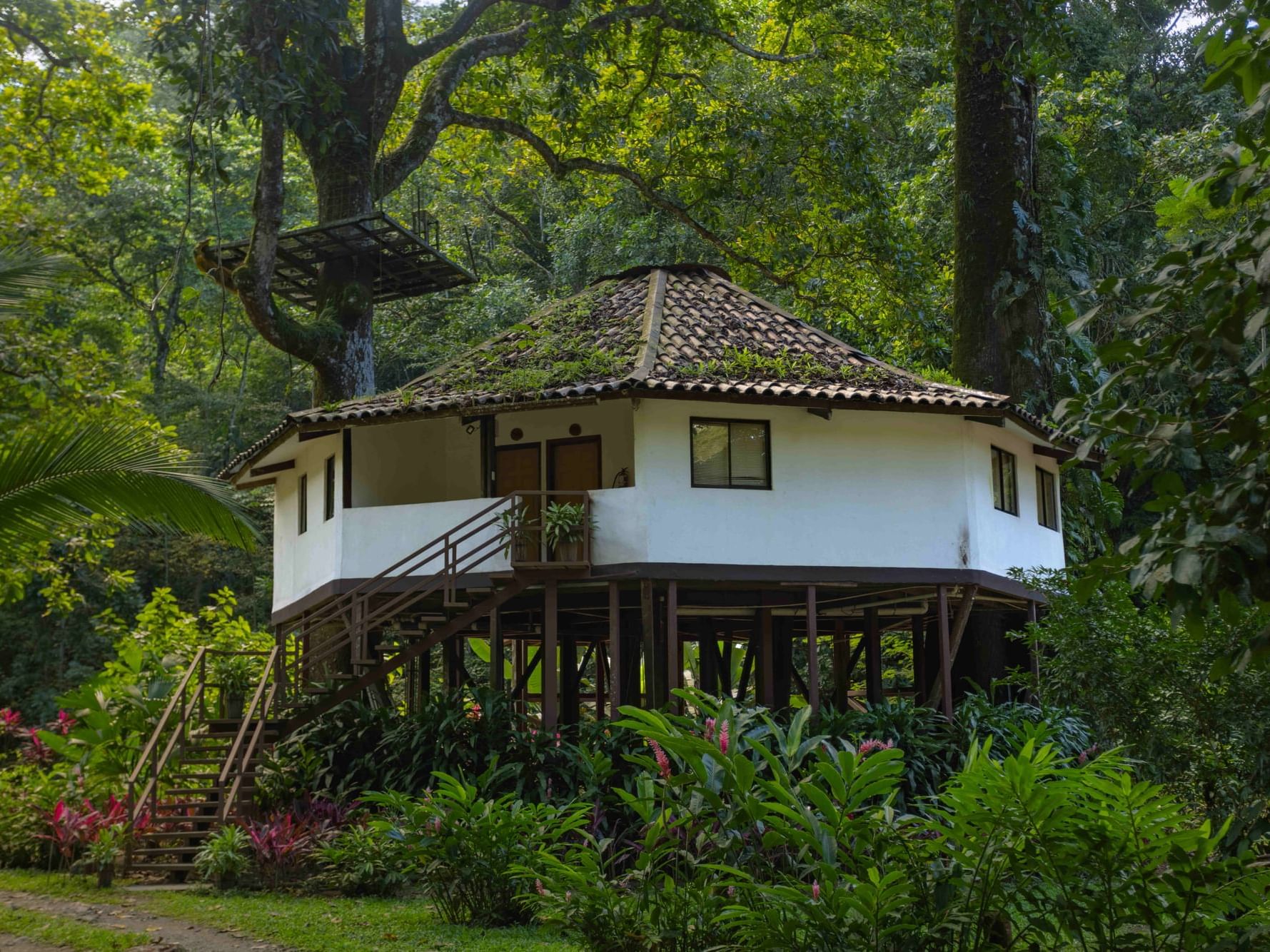 Villa Lapas Jungle Village: