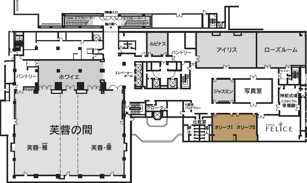 オリーブの茶碗蒸し絶品！ | クレタ通信