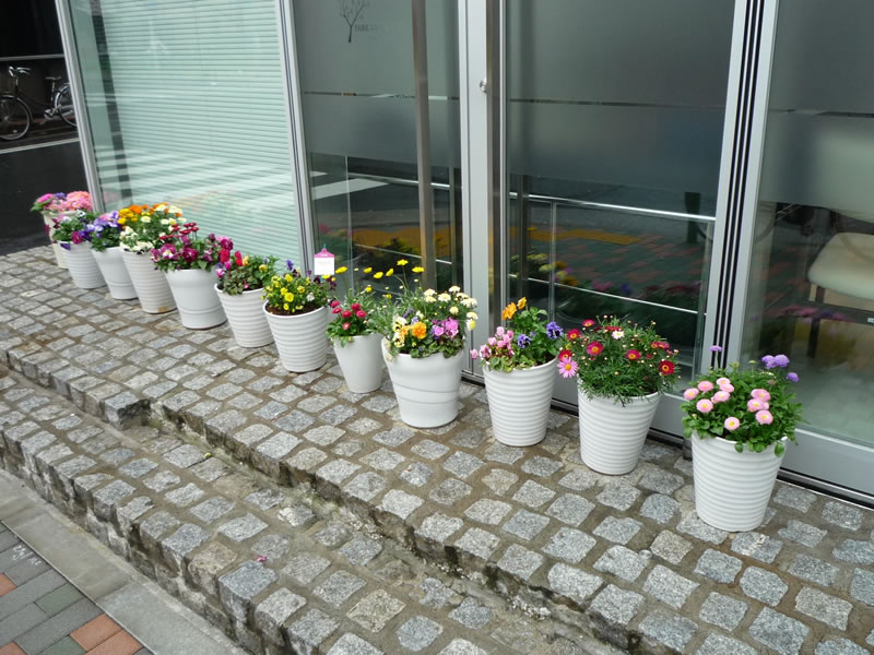 茅場町駅（東京都）、溶連菌感染症のクリニック・病院一覧｜ドクターズ・ファイル