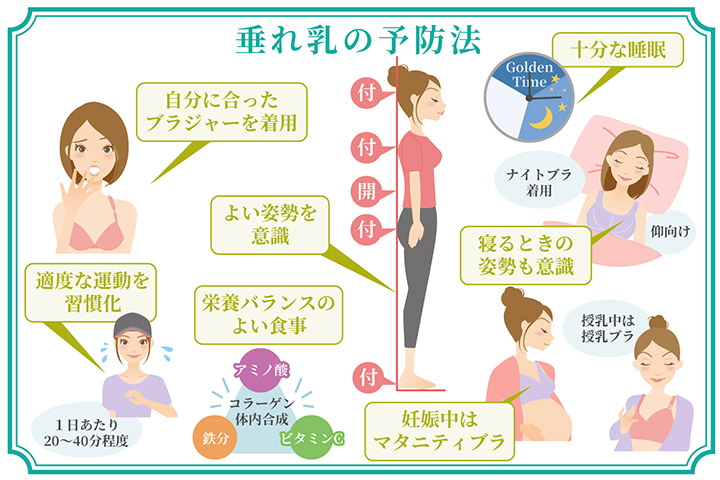 垂れ乳】バストが垂れてしまった原因と対策、予防方法までわかりやすく説明！ | VENUS BEAUTY