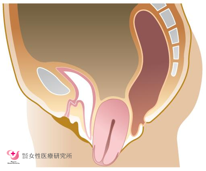 中イキのやり方をイラスト付き解説！Gスポットやポルチオの開発方法、イキやすくするコツを解説