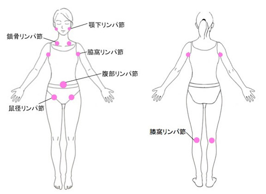 カッサ マッサージ ツボ押し リンパマッサージ