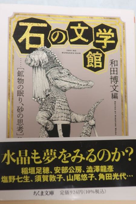 駿河屋 -【アダルト】<中古>隣の若奥様は癒し美乳教師/稲森しほり（ＡＶ）