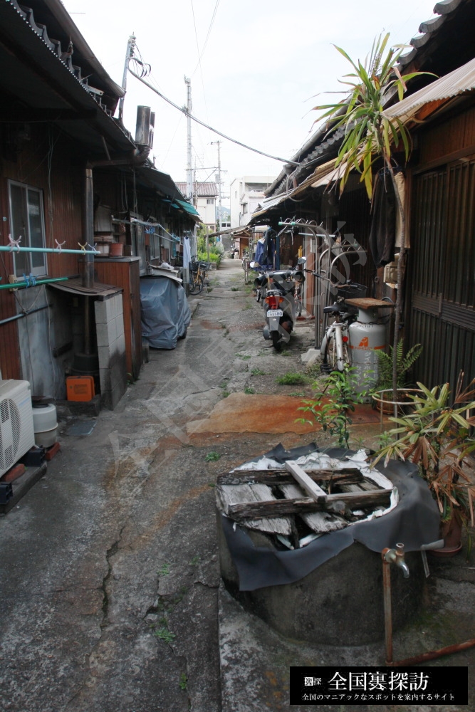 現役の】和歌山のスーパーノスタルジー遊郭「天王新地」とその界隈を見物に行く。【私娼窟】（2） – 全国裏探訪